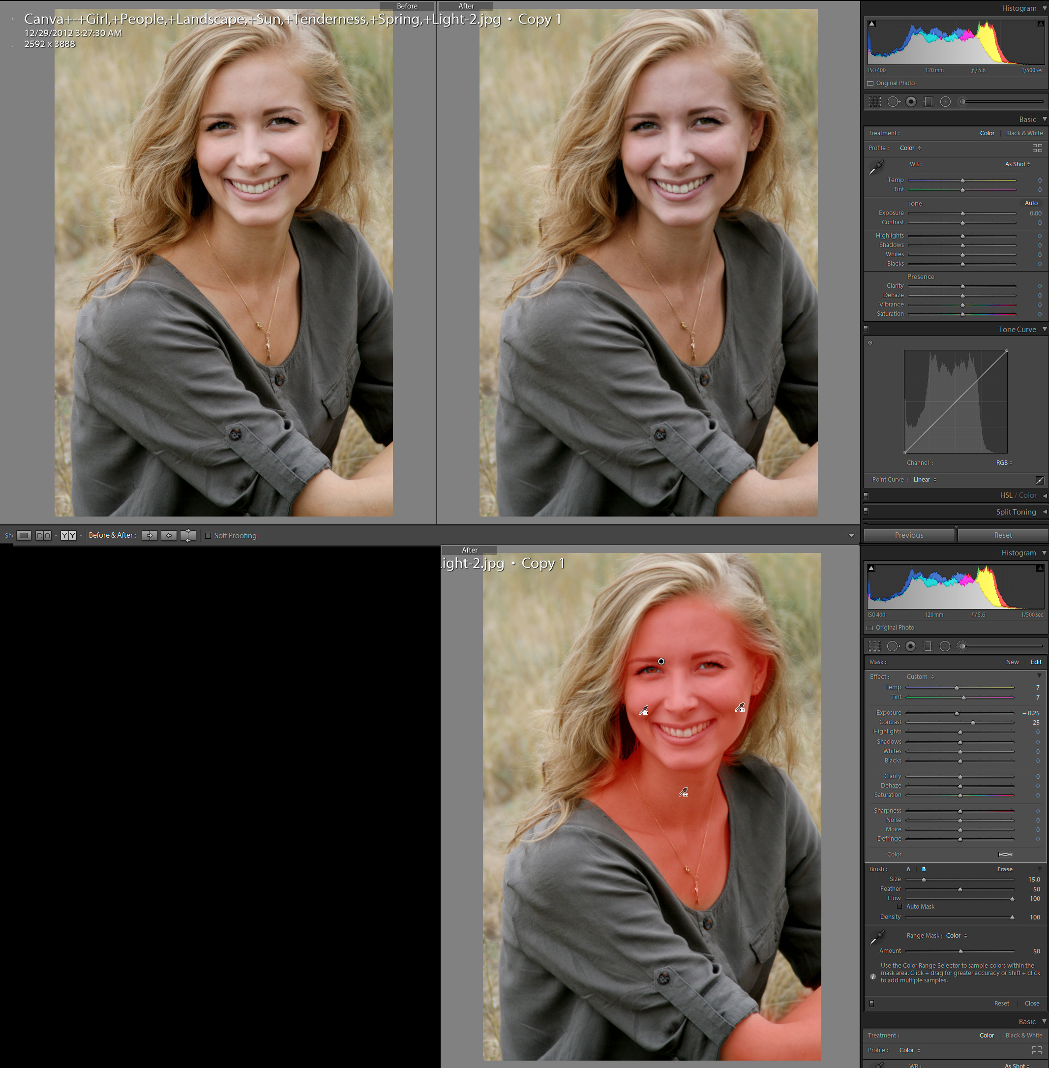 Color Range Mask.jpg